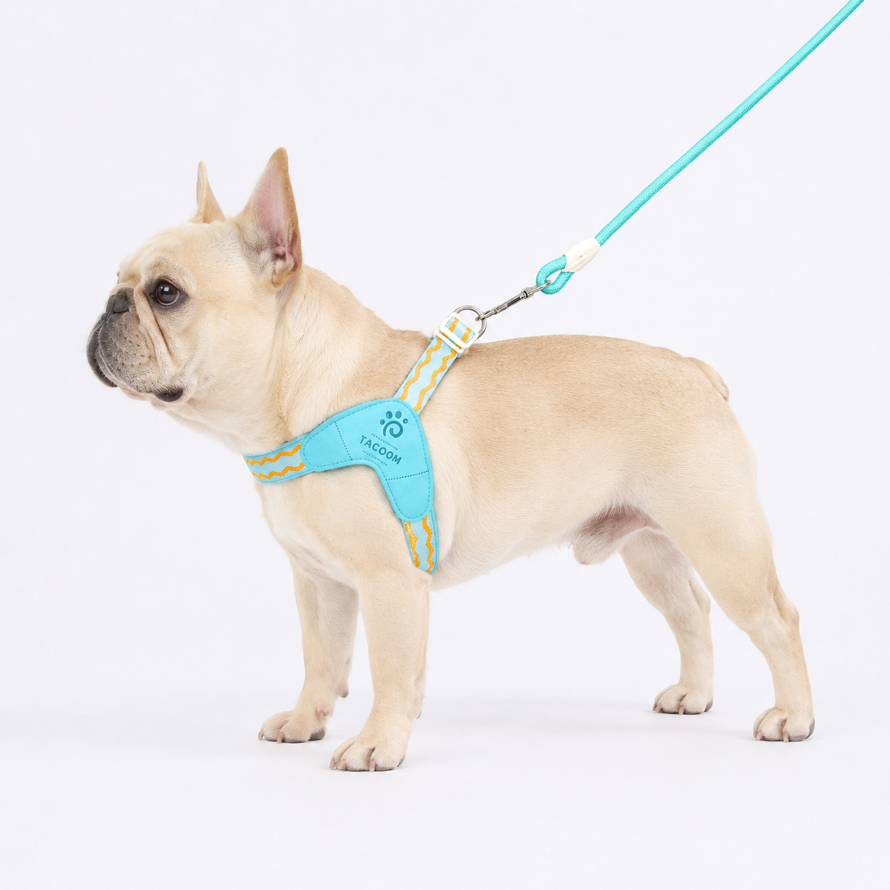 VivaPaw-Frenchie-Saddle-Harness-Leash-Set.jpg