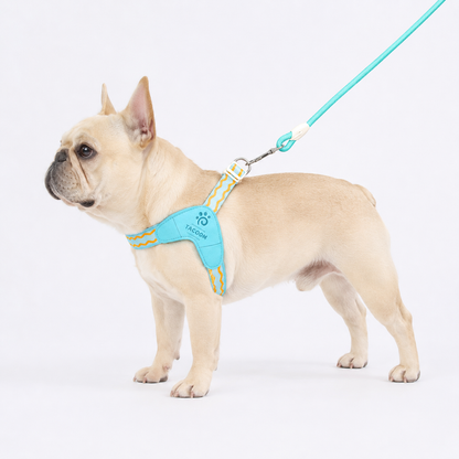 VivaPaw-Frenchie-Saddle-Harness-Leash-Set.jpg