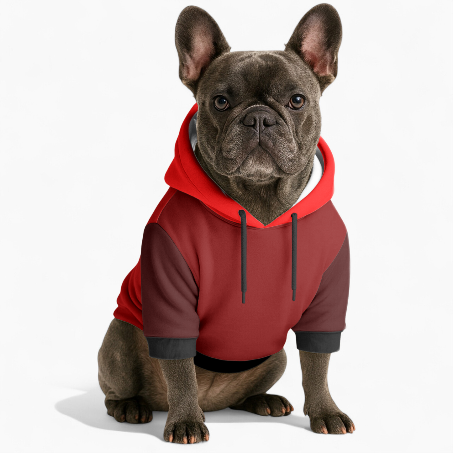Kobe - Frenchie hoodie