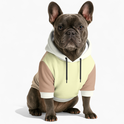 Teddy - Frenchie hoodie