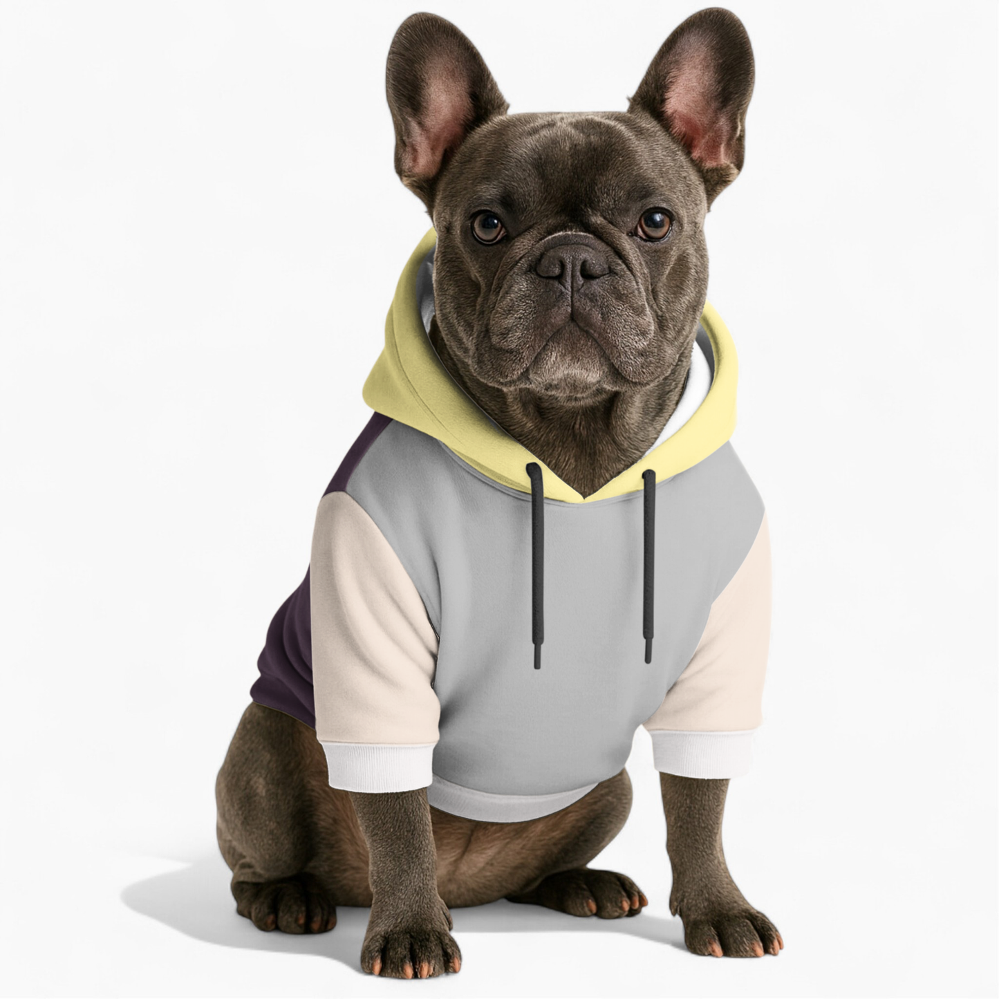 Thor - Frenchie hoodie