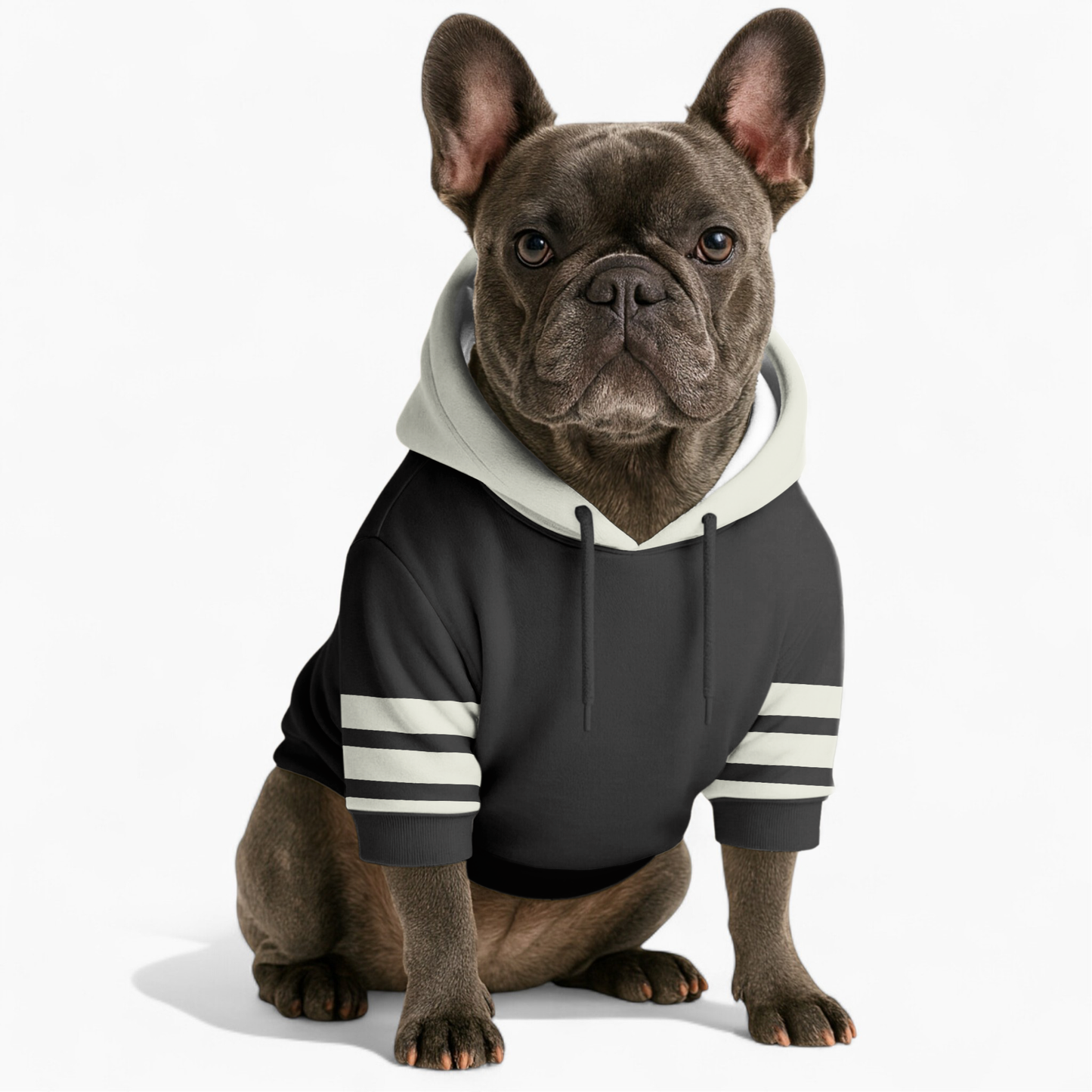 King - Frenchie hoodie