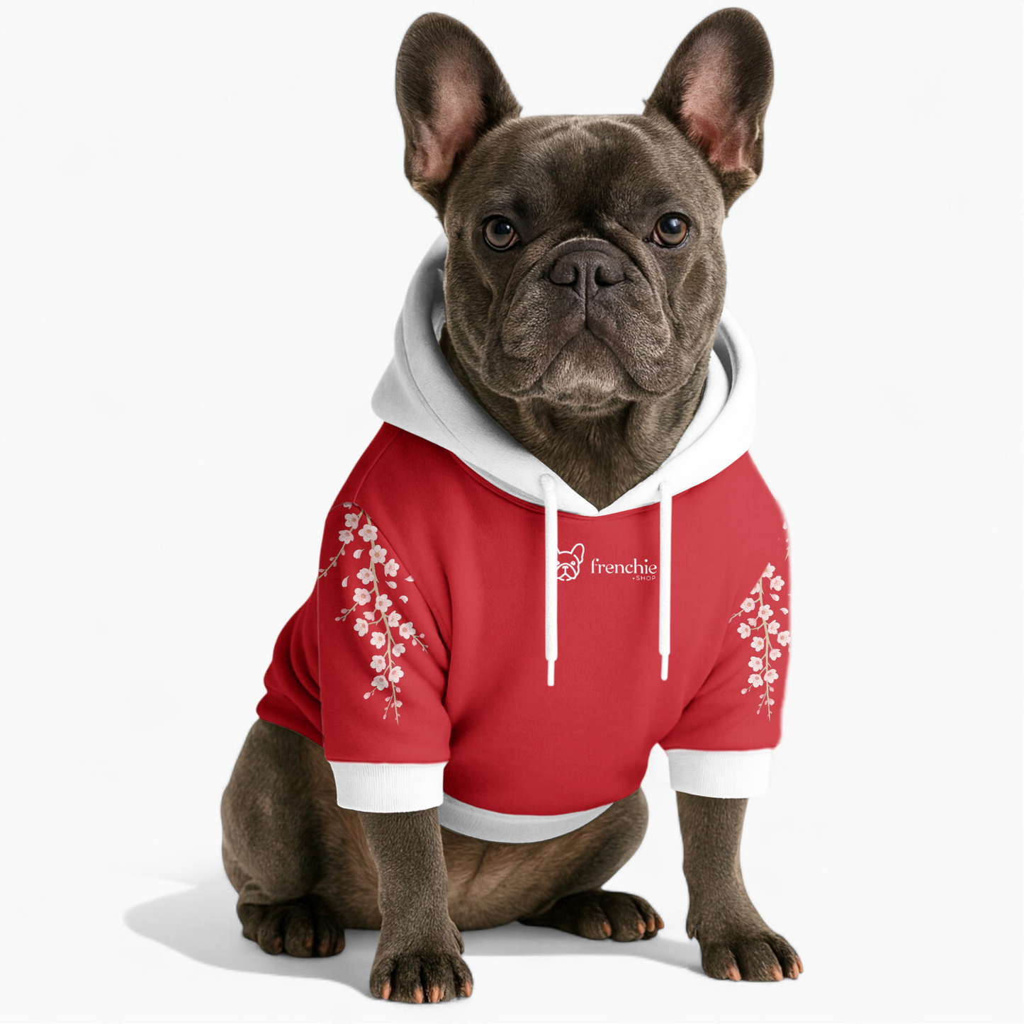 Darwin - Frenchie hoodie