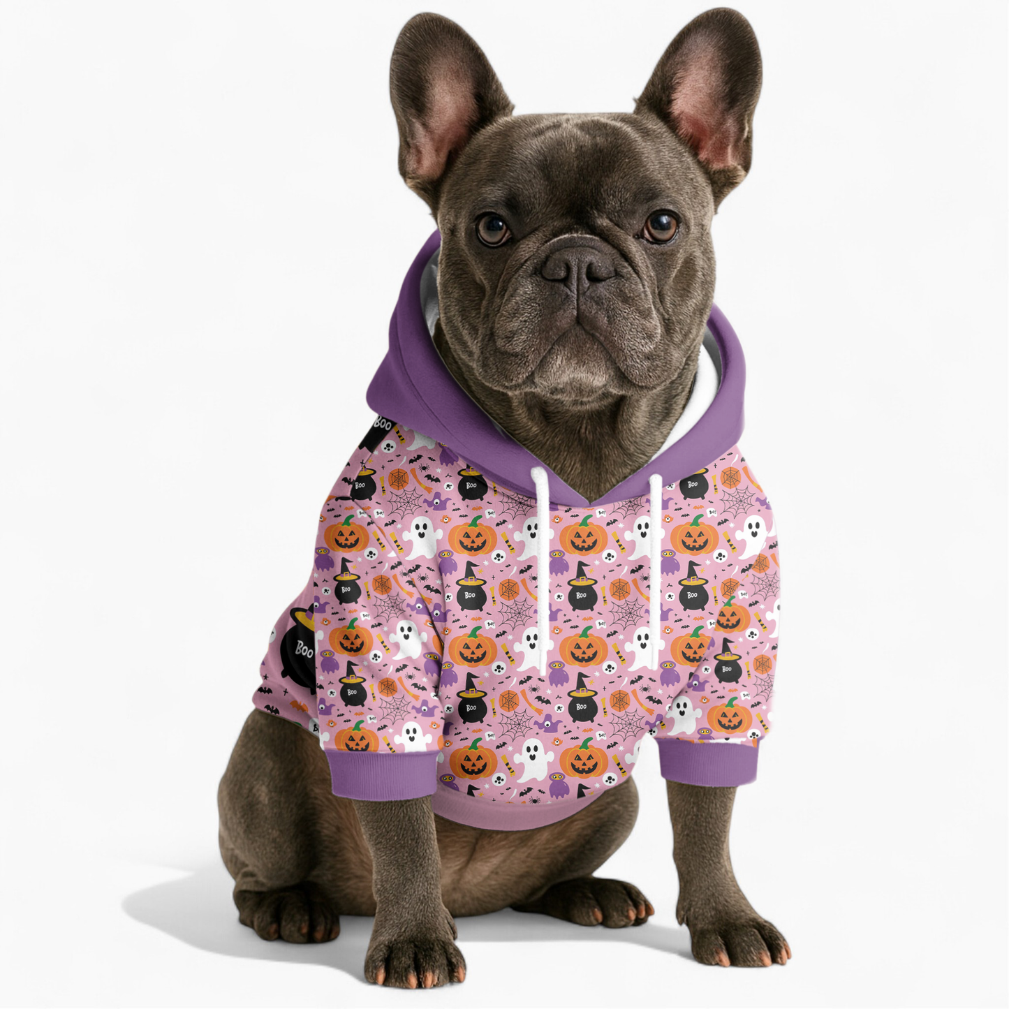 Ace - Frenchie hoodie