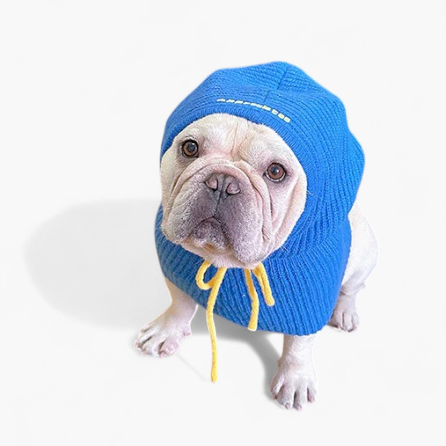 WagLoom-Frenchie-Knitted-Snood-Hat.jpg
