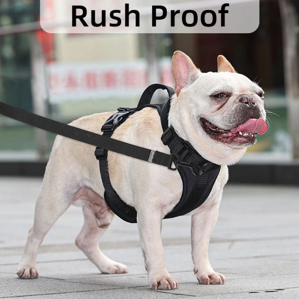WalkEase-Frenchie-Comfort-Leash-Vest