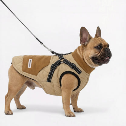 Winter-Dog-Vest.jpg