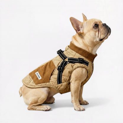Winter-Dog-Vest.jpg