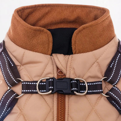 Winter-Dog-Vest.jpg