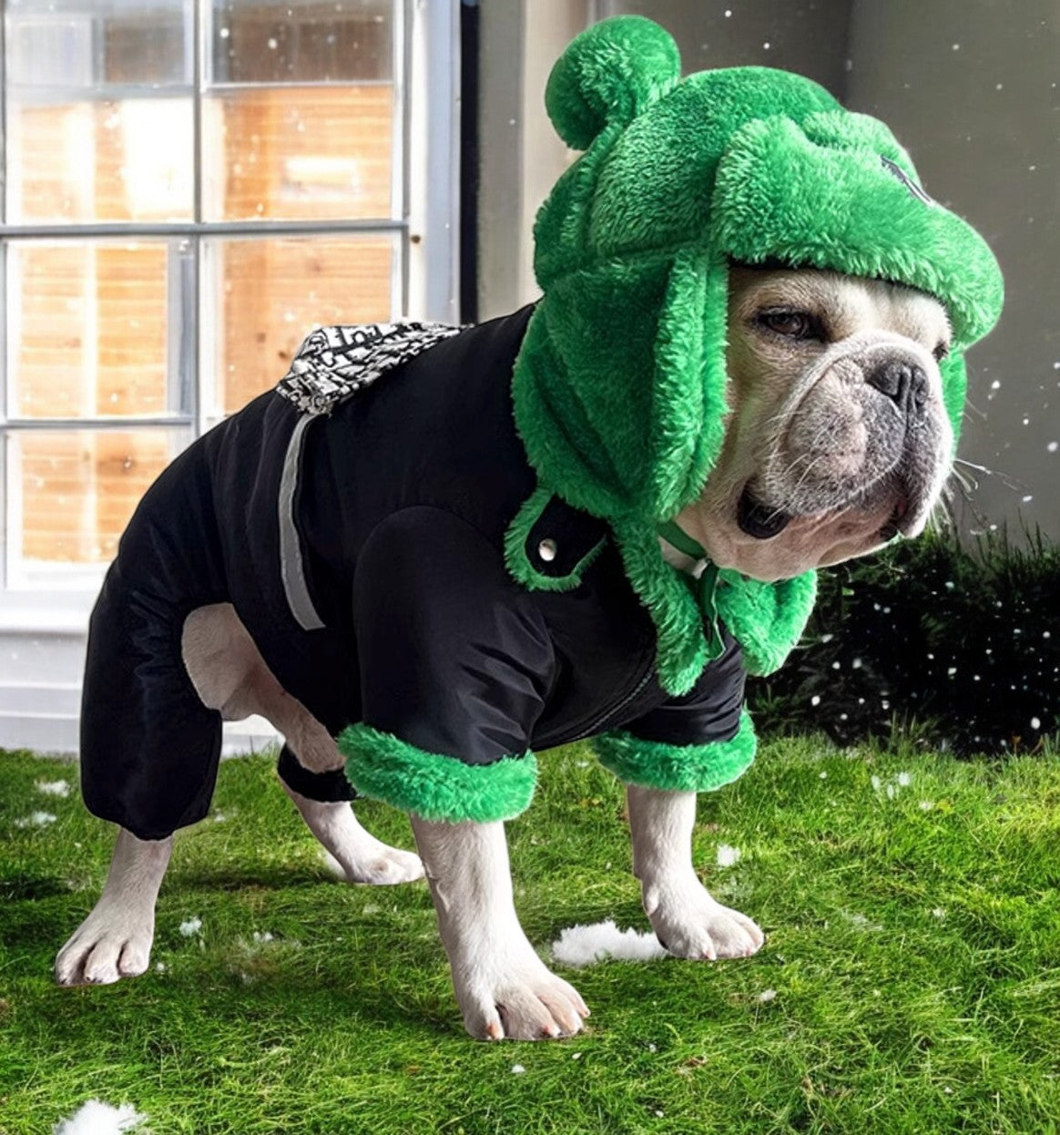 Winter Warm bullDog Hat