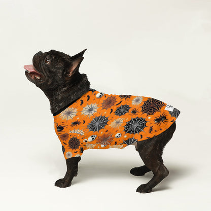 Wool Sweater for Frenchies