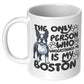 Zebra-Mug for Boston Terrier lovers
