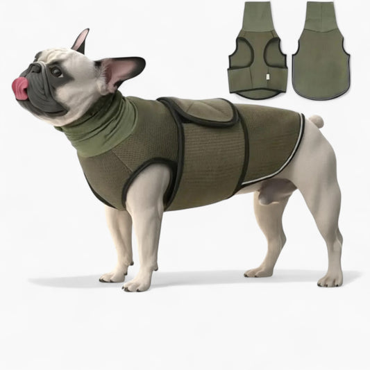 ZenHood-Frenchie-Anxiety-Vest.jpg