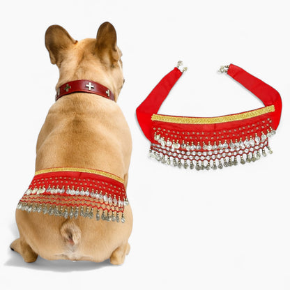 Zestara-Frenchie-Belly-Dance-Costume.jpg