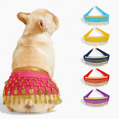 Zestara-Frenchie-Belly-Dance-Costume.jpg