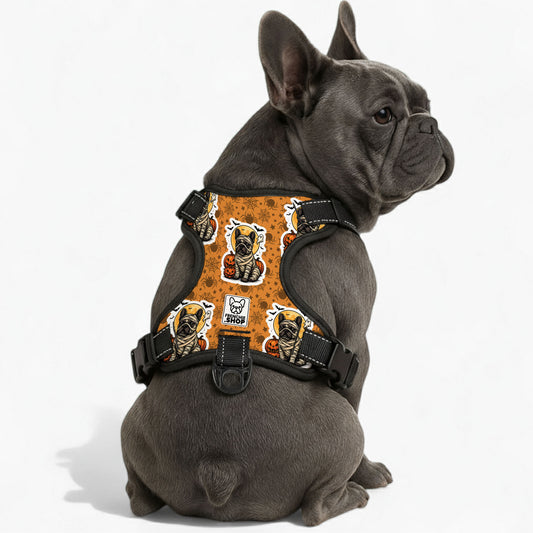 Zeus No-Pull Dog Harness
