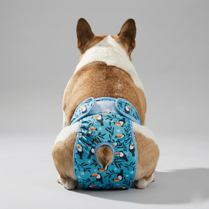 ZigZaroo-Frenchie-Sanitary-Diaper.jpg