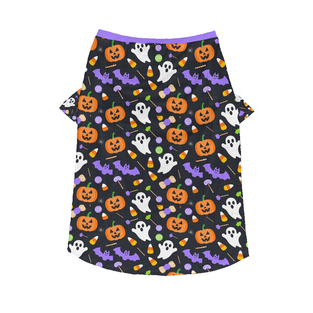 Zuma Frenchie Wool Sweater