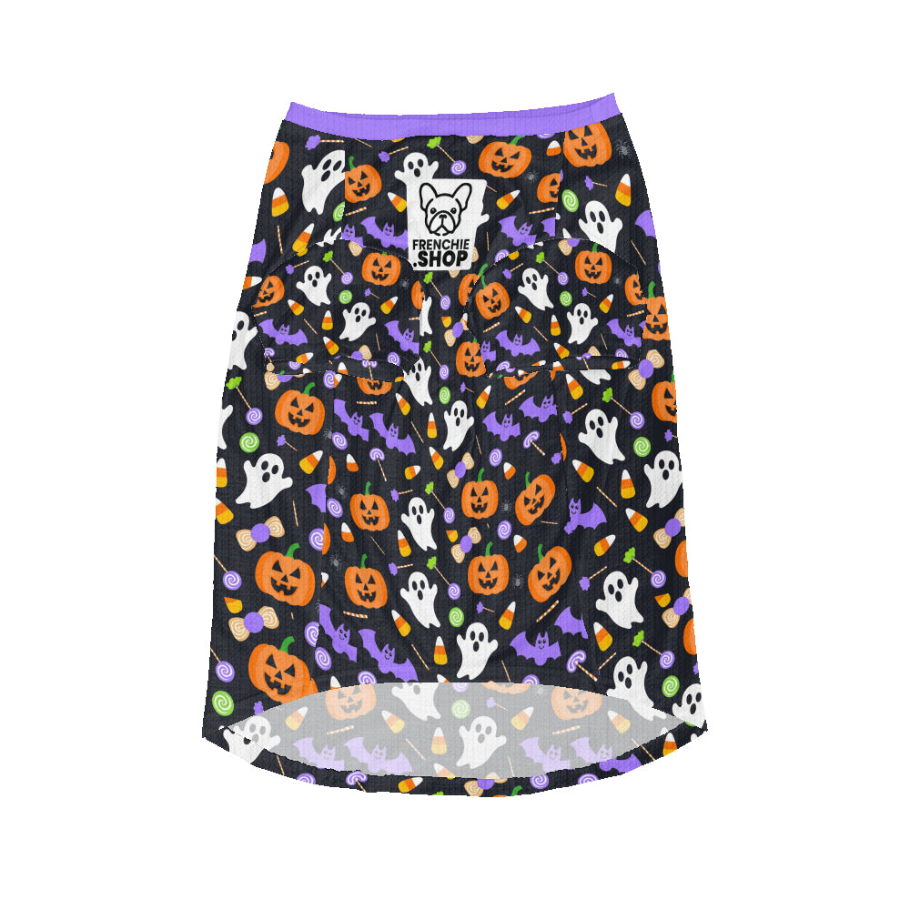 Zuma Frenchies Wool Sweater