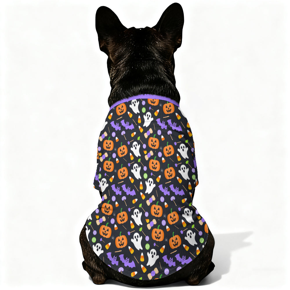 Zuma Wool Sweater for French bulldog