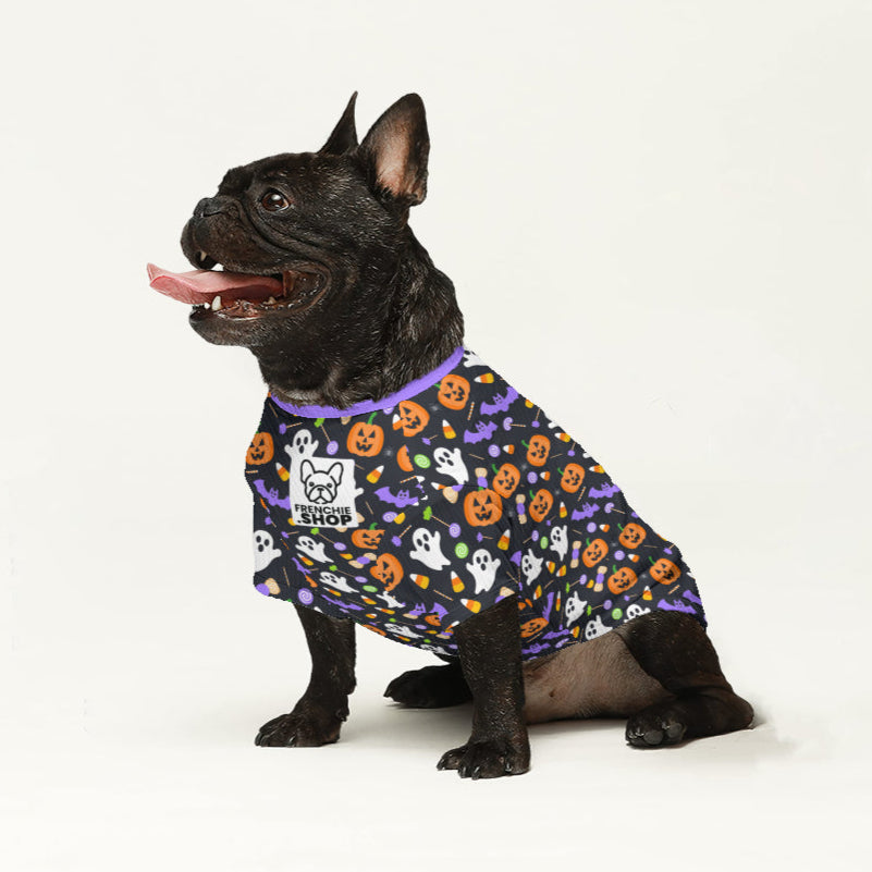 Zuma Wool Sweater for French bulldogs