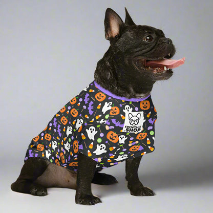 Zuma Wool Sweater for Frenchie