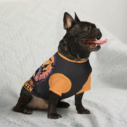 Sheila - Wool Sweater for Frenchies