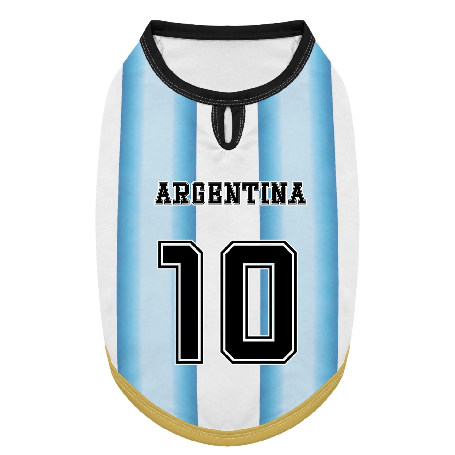 Personalized argentina home - jerseys for Frenchies