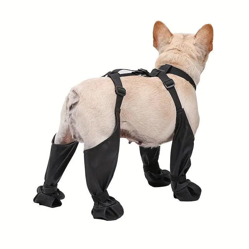 adjustable paw protector french bulldog