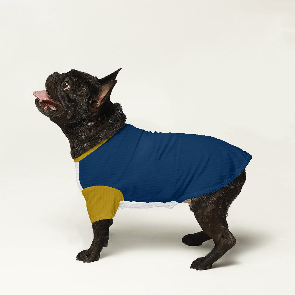 Mazie - Wool Sweater for Frenchies