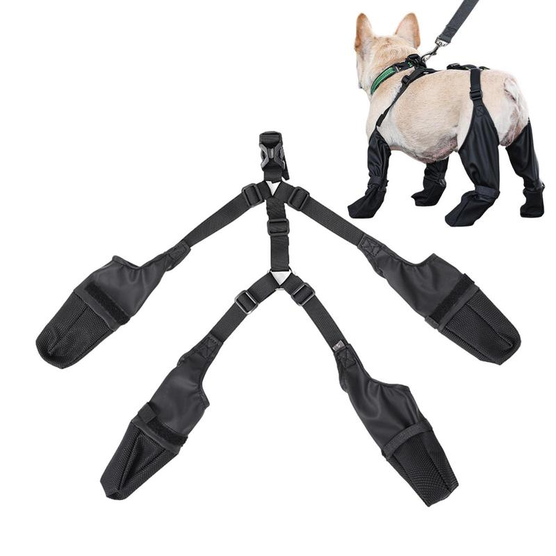 PawGuard – Tough & Comfy Frenchie Paw Protection