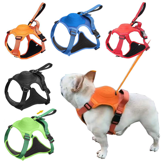 all in one dog harness and leash