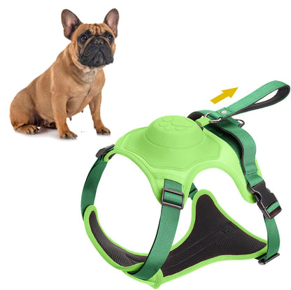 all in one harness and leash