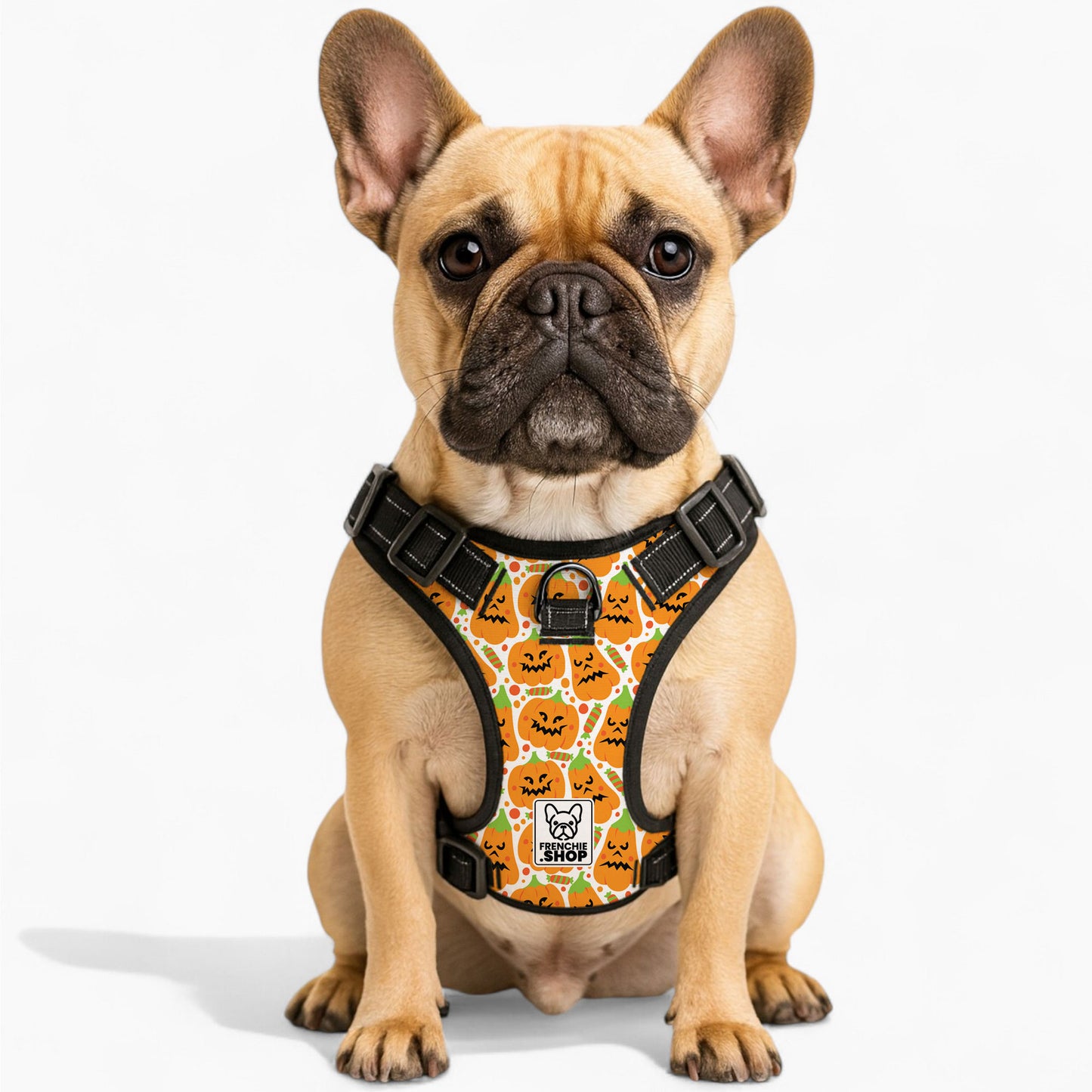 best Louie No-Pull Dog Harness size 
