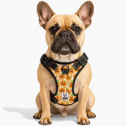 best Louie No-Pull Dog Harness size 
