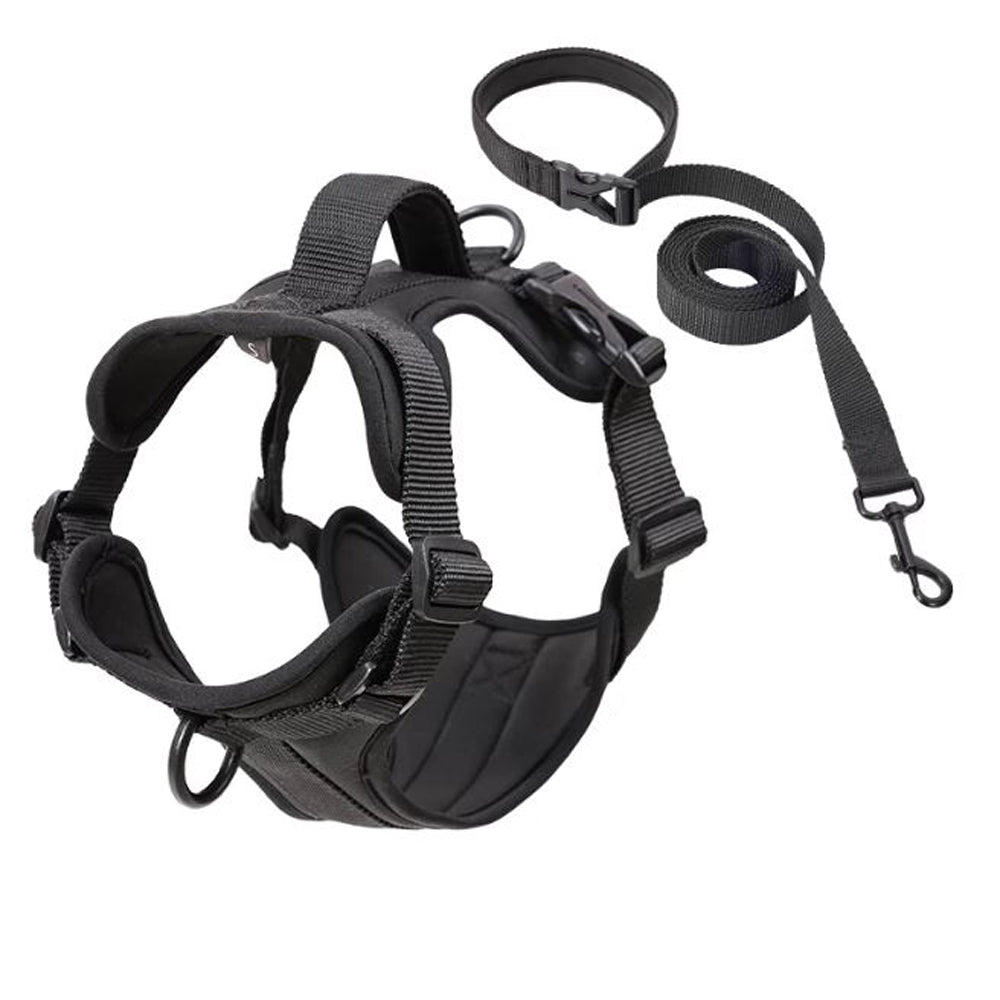 best harness for french bulldog