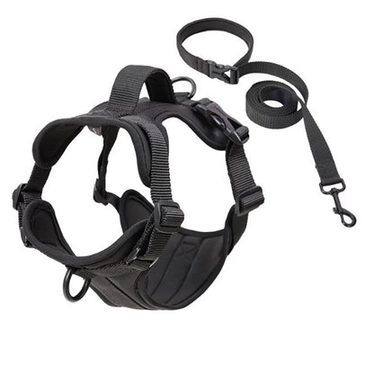 best harness for french bulldog