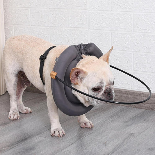 Guide-Harness-for-Blind-French-Bulldogs-www.frenchie.shop
