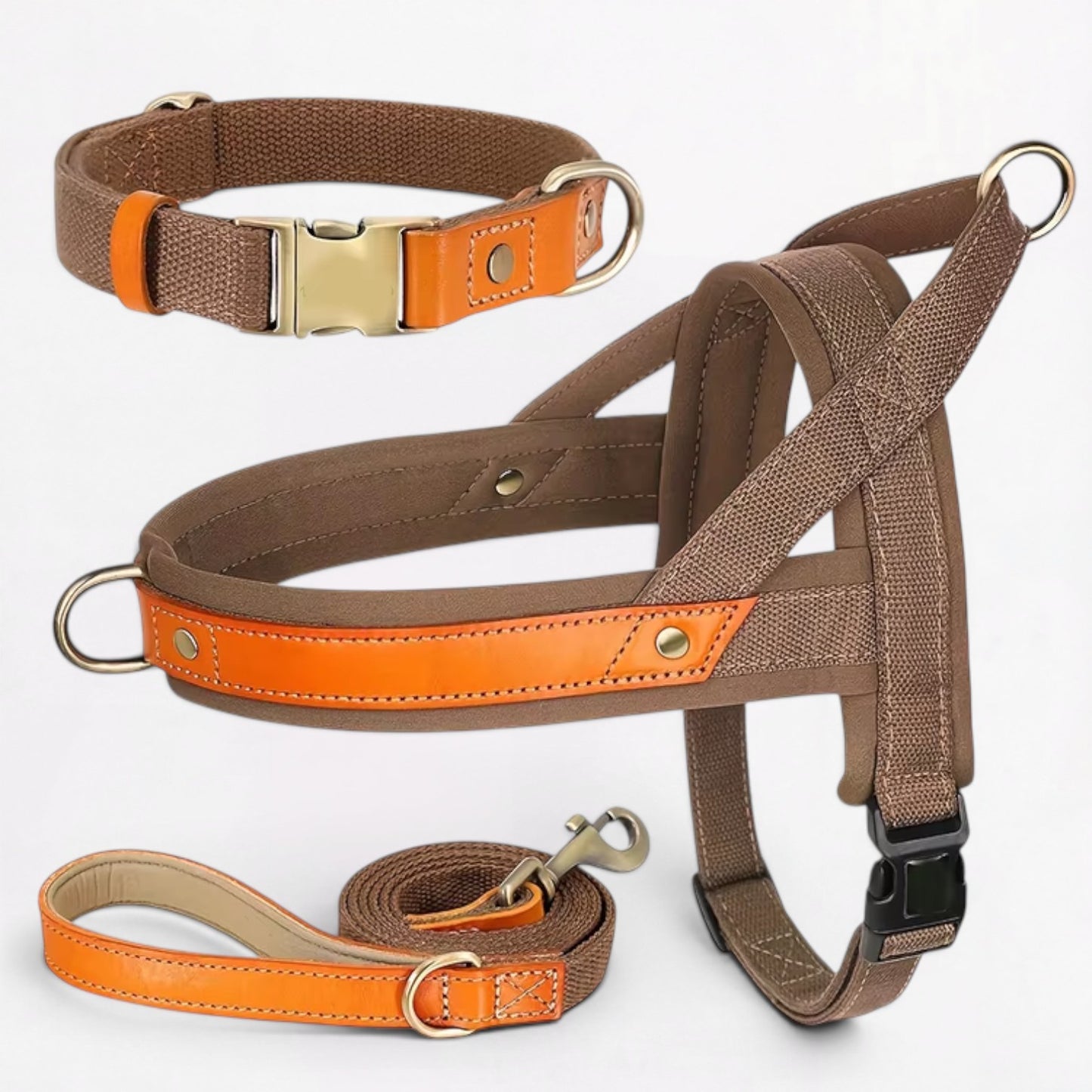 Ensemble harnais et laisse anti-traction pour bouledogue français (WS0223)