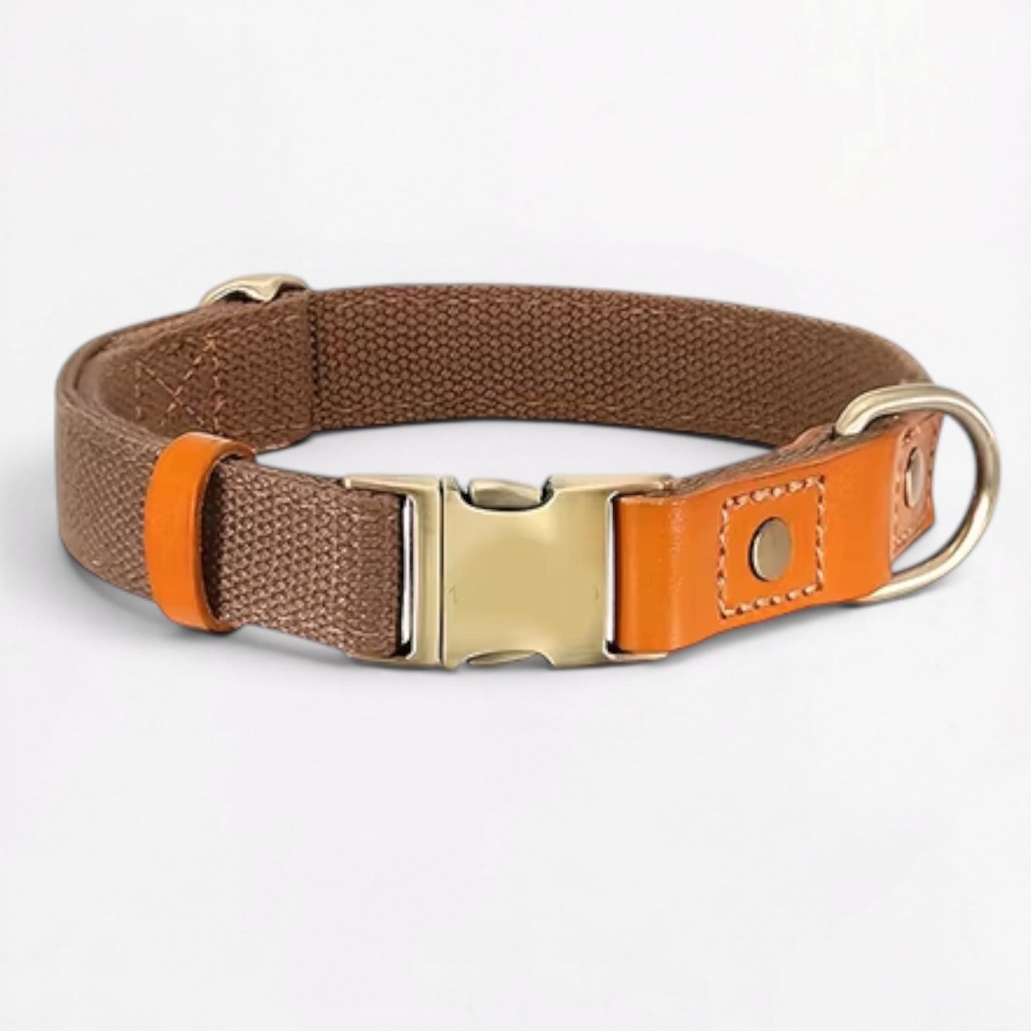 Ensemble harnais et laisse anti-traction pour bouledogue français (WS0223)
