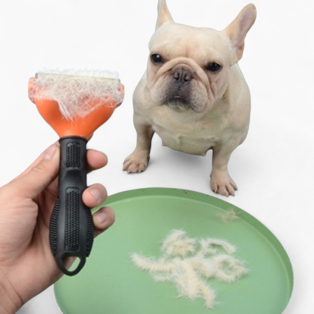 brush for french bulldog