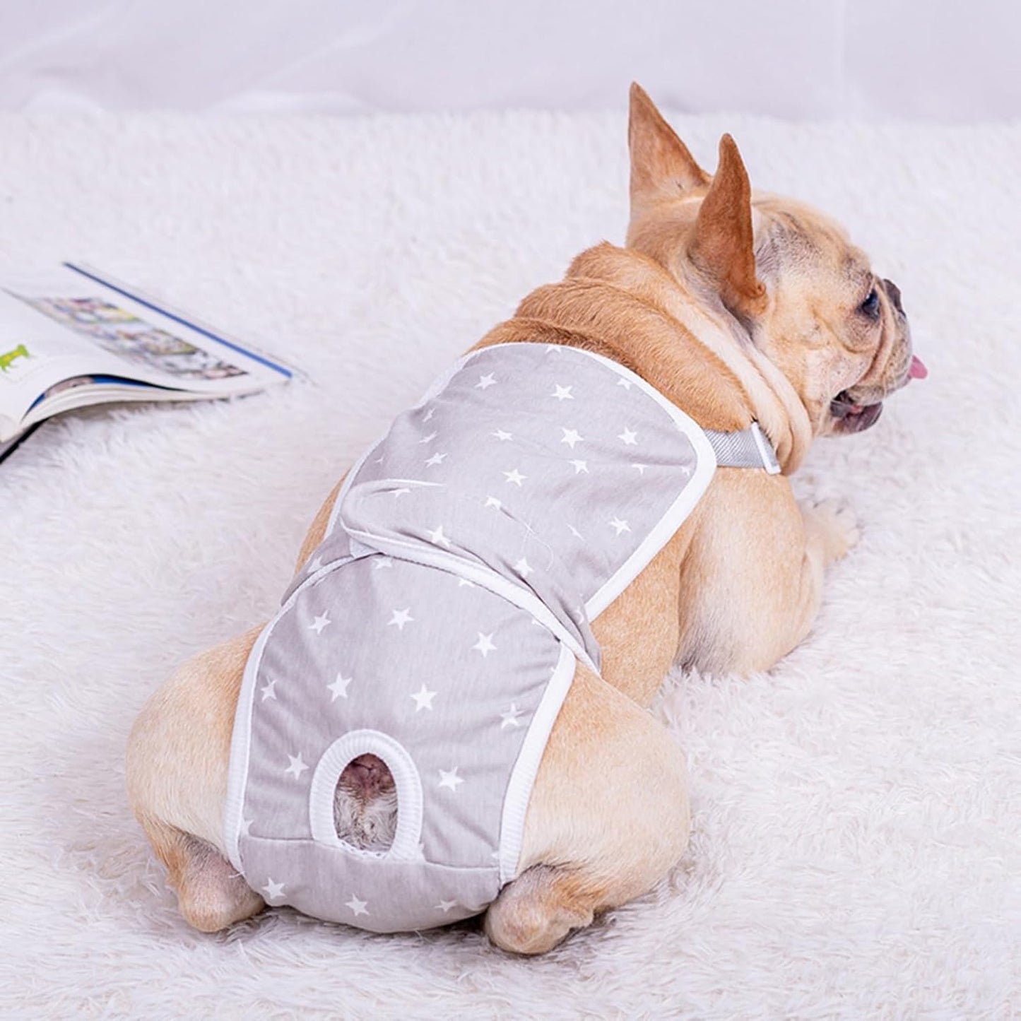 bulldog diaper