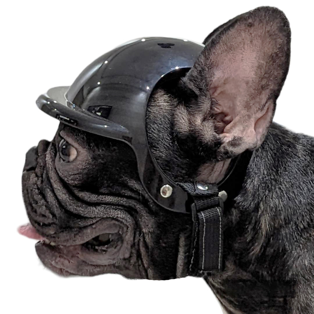 Frenchie Motorcycle Helmet – Stylish Safety Gear