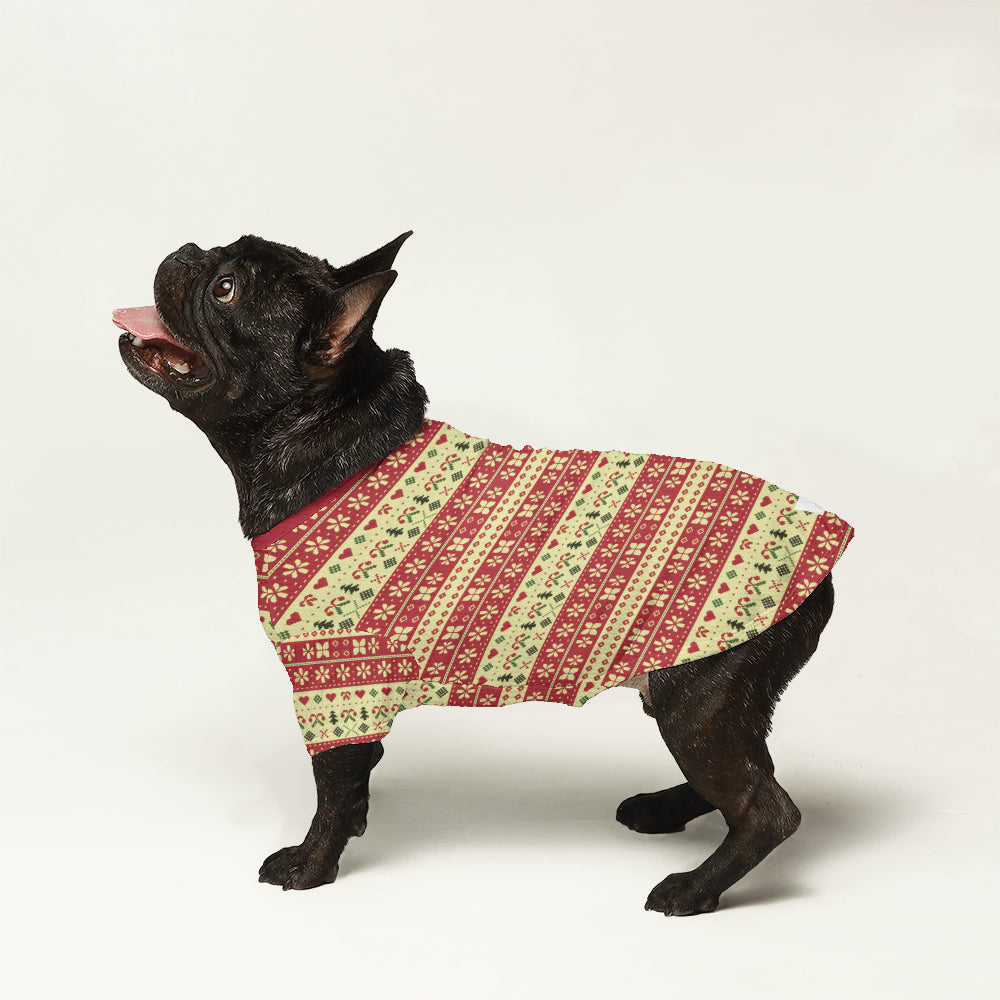 Artie - Wool Sweater for Frenchies