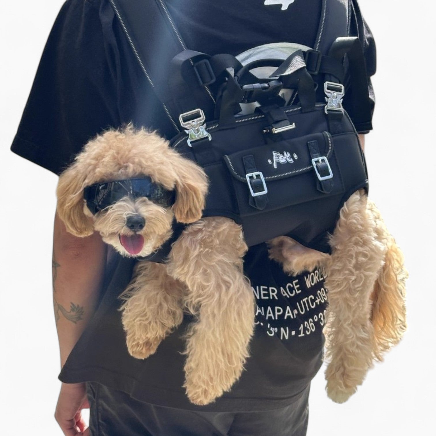 CarryPaw™ Side Carry Dog Backpack – Carrier for small and big dogs