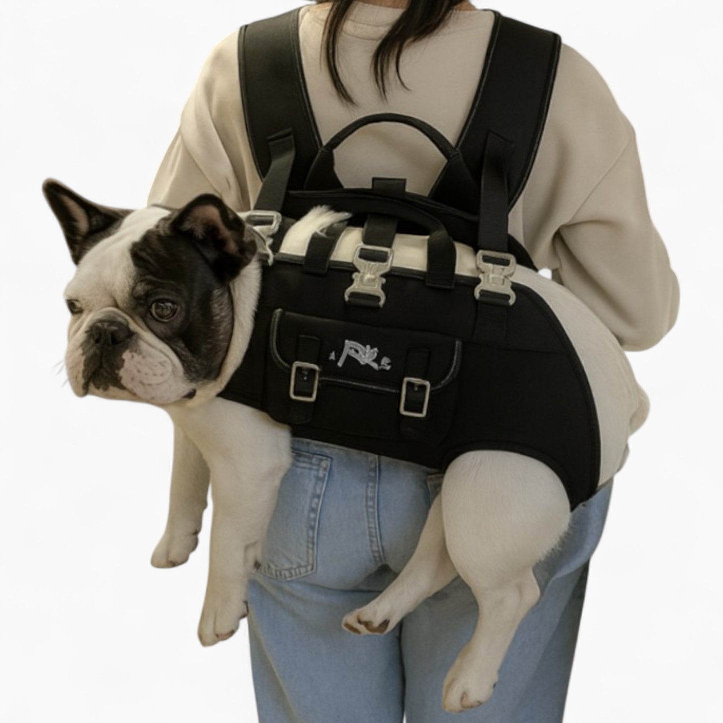 carry paw by frenchie shop
