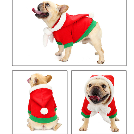French Bulldog Christmas Costumes Spread Joy with Festive Fashion