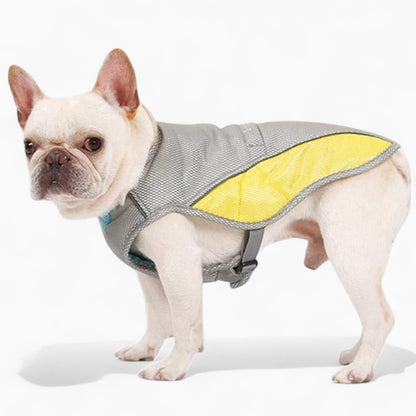 Coolify™ : Cooling Vest for Frenchie (CS13)