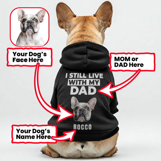 I STILL LIVE  - Personalized French Bulldog Hoodies with Funny Quotes, Custom Name, and Custom Image – Stylish, Cozy, and Premium 100% Cotton
