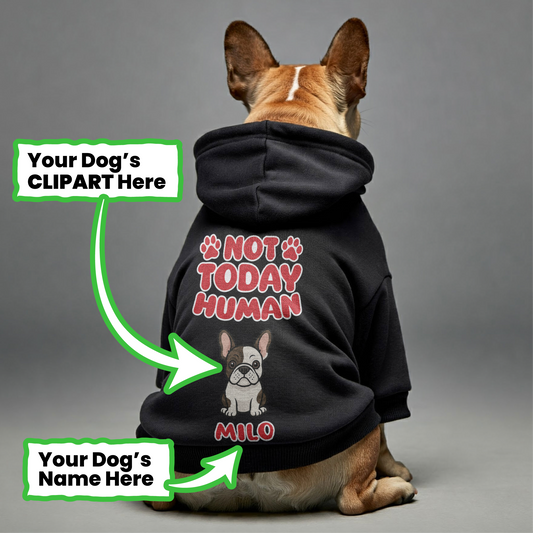 Not Today - Personalized French Bulldog hoodies with funny quotes, custom name, and custom clipart matching your Frenchie's color – Stylish, Cozy, and Premium 100% Cotton